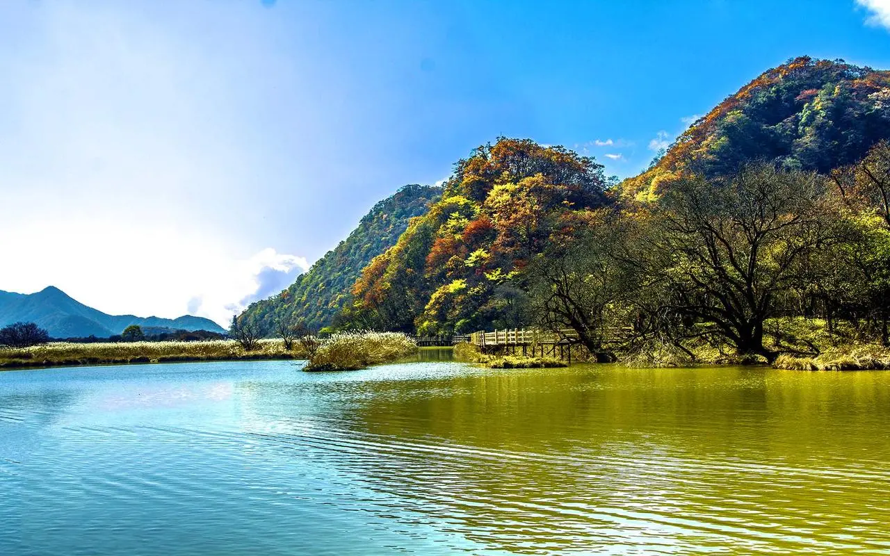创意新型